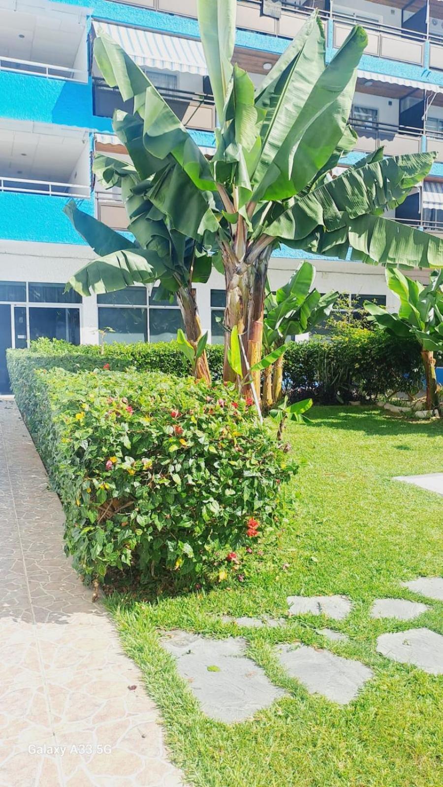Estudio Playa Jardin Пуэрто-де-ла-Крус Экстерьер фото