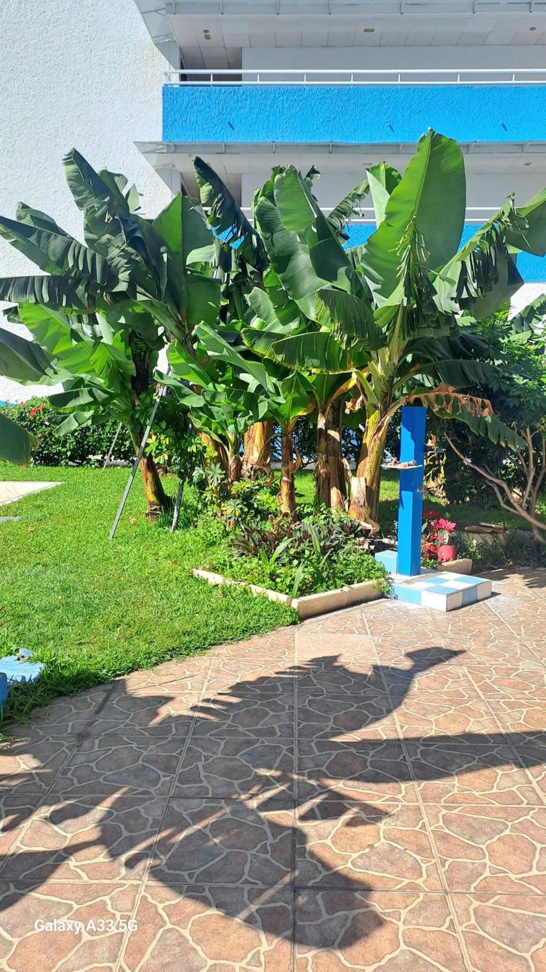 Estudio Playa Jardin Пуэрто-де-ла-Крус Экстерьер фото